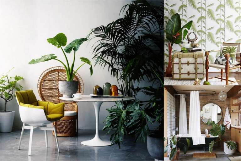 Inviter la jungle chez soi
