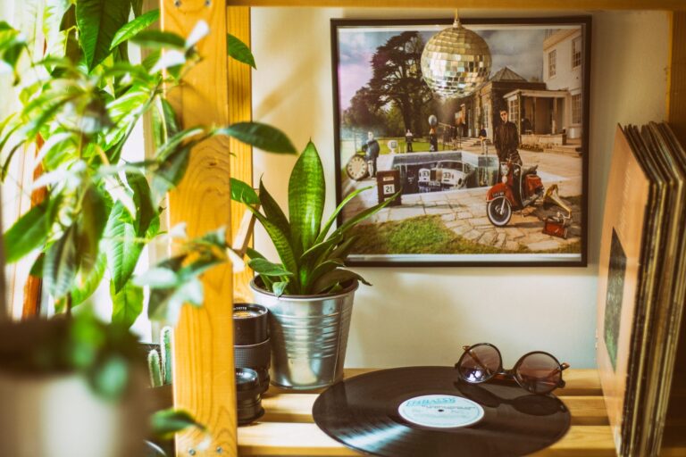 Quelles plantes d&rsquo;intérieur choisir pour une déco verdoyante ?
