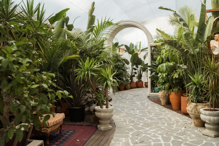 Comment adopter la déco tropicale pour une ambiance vacances à la maison ?