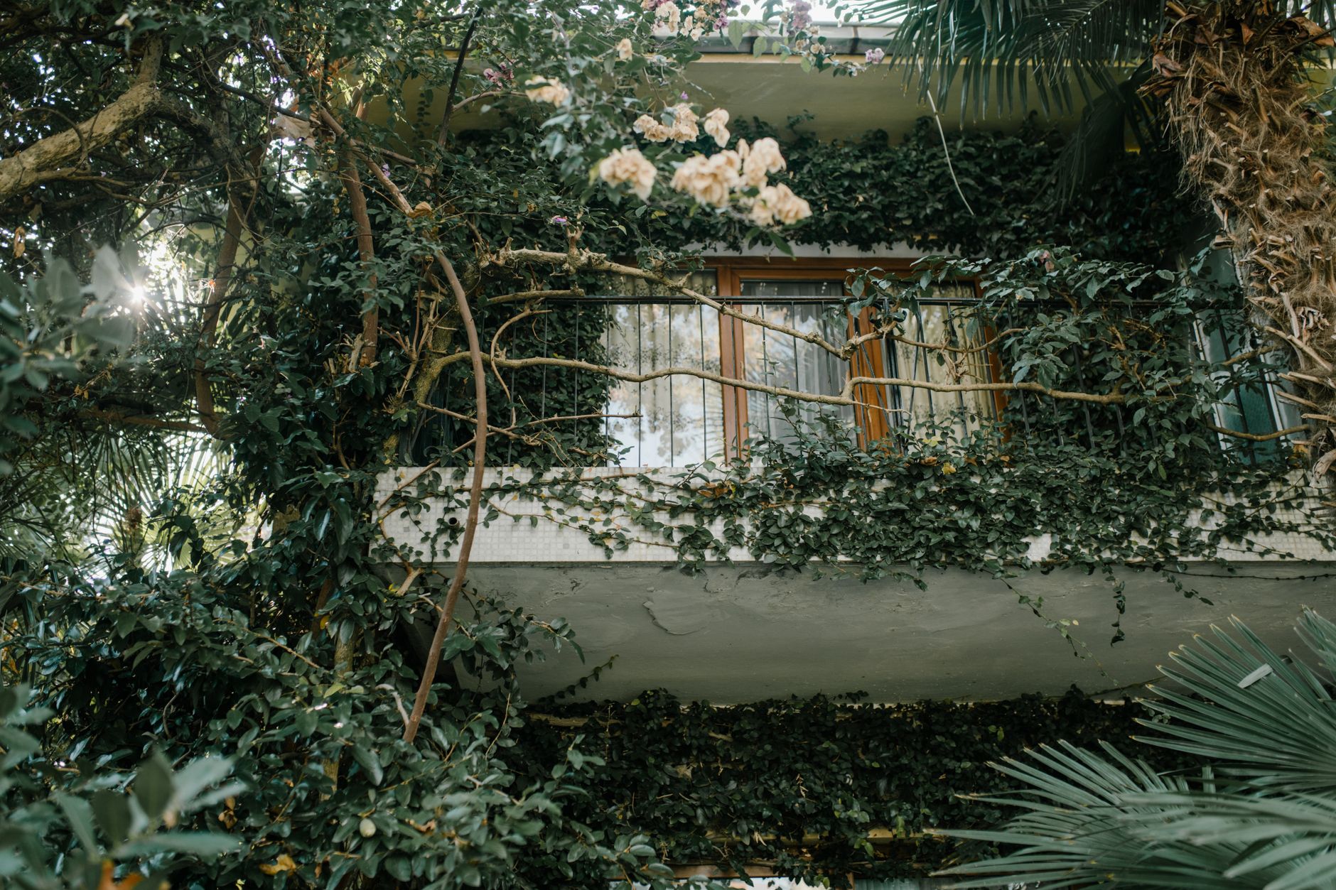 Comment aménager un balcon dans une déco nature ?