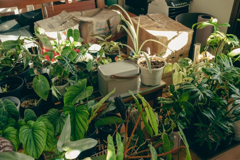 Comment adopter la déco tropicale pour faire de sa maison un havre de vacances permanent ?