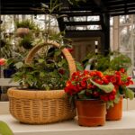 Quelles plantes d&rsquo;intérieur choisir pour une déco pleine de verdure ?
